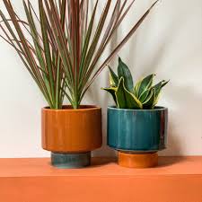 Kaya Shorty Ceramic Planter by Justina Blakeney®, The Jungalow