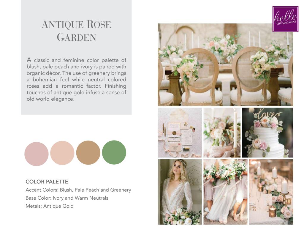 Alejandra Baca Mood Boards of Antique Rose Garden